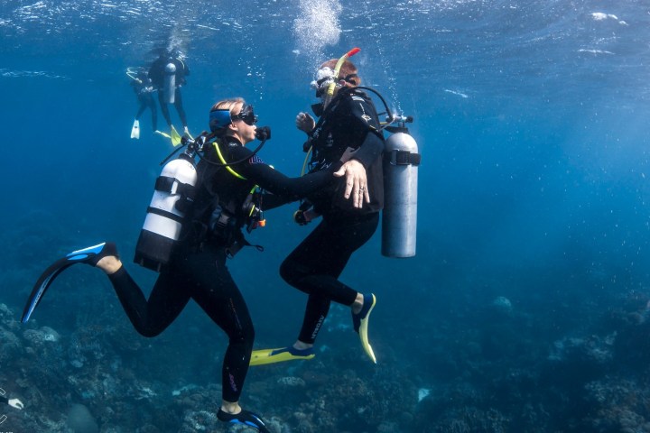 Dive Master Course