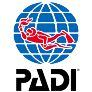 Padi logo