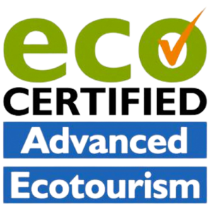 eco logo