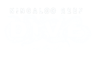 Ningaloo Reef Dive